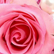  フォーチュンラブハウスのフォト(小)