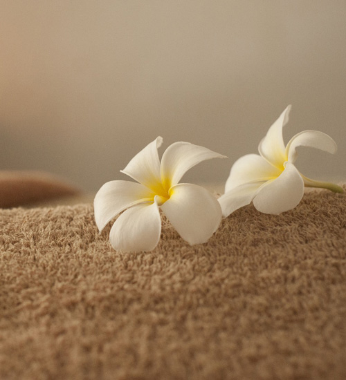 ご利用の流れ 2 : エルミタージュ(姫路発/性感エステ)のフォト(写真)