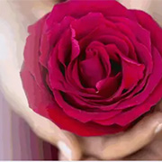 全身の官能マッサージタイム バイオレット Violetのフォト(小)