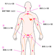 5大リンパ節 えちちSPA-えっちな回春性感マッサージ-大阪店のフォト(小)