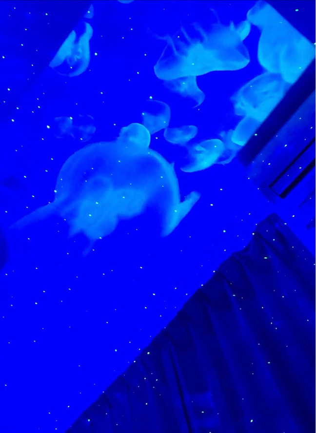 雰囲気から癒しを。幻想的なルームです:ムーンライト Moonlight(奈良市/リラクゼーションサロン)のフォト(写真)