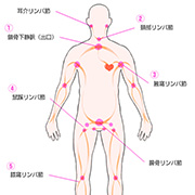 5大リンパ節 えちちSPA-えっちな回春性感マッサージ-神戸店のフォト(小)