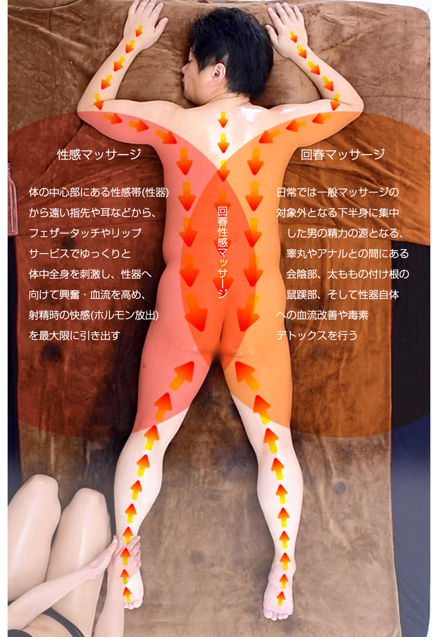 【回春】と【性感】の違い : えちちSPA-えっちな回春性感マッサージ-神戸店(三宮発/性感エステ)のフォト(写真)