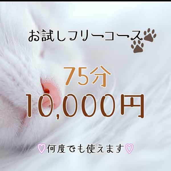 今性感エステ探していますよね？日本橋、難波、谷9