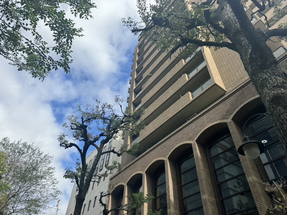 ☆アフタヌーンキャンペーン☆｜通常クーポン