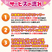 ハニートラップコンセプト ハニートラップのフォト(小)